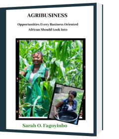 AGRIBUSINESS Opportunities Every Business Oriented African Should Look Into (e-Book)