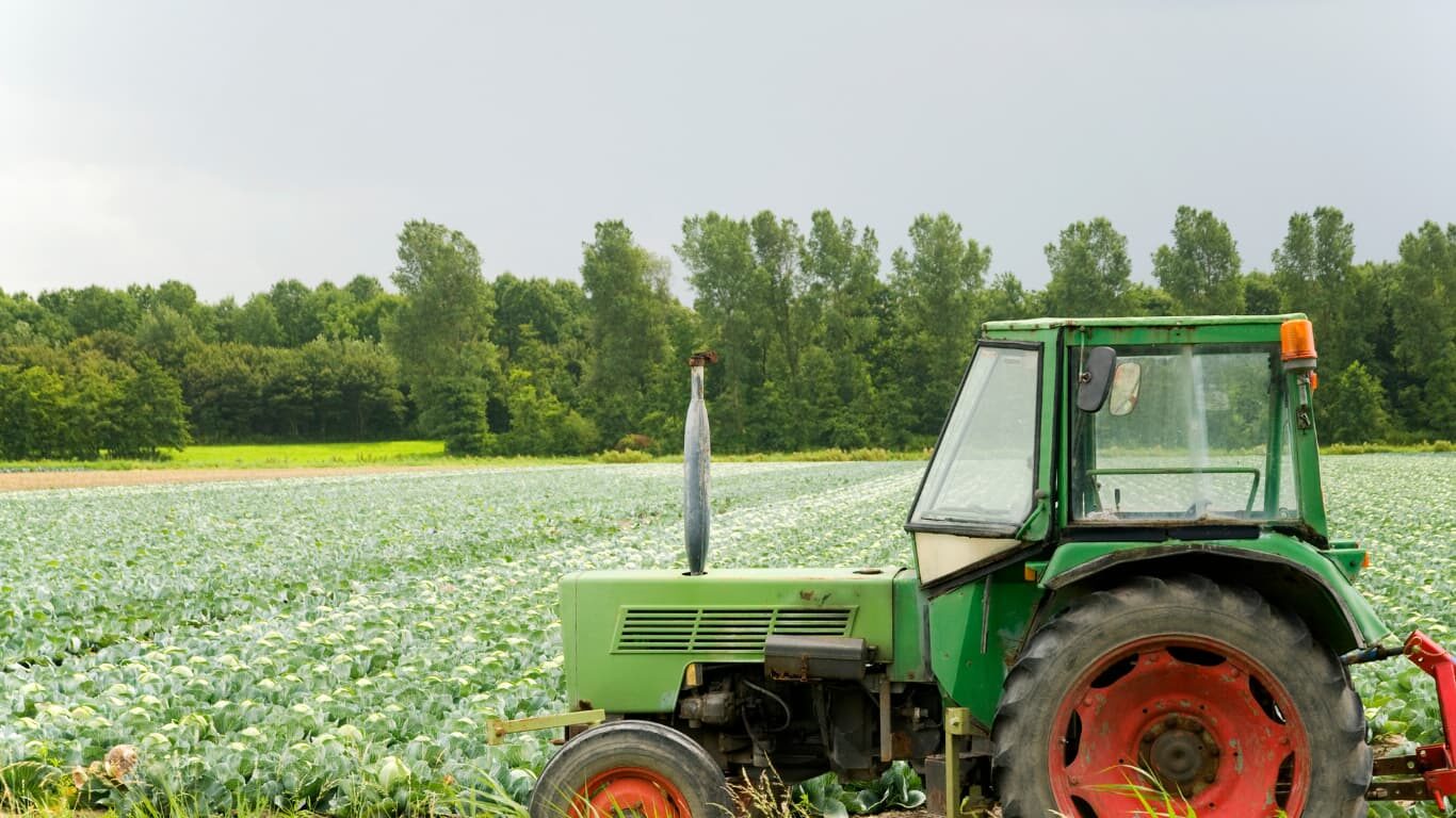 Security Measures and Strategies in the Agricultural Industry