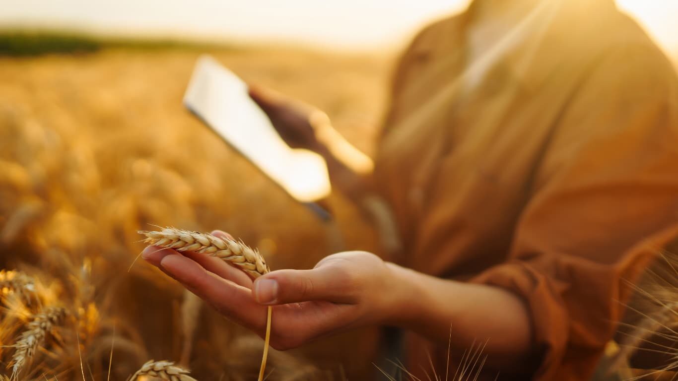 The leverage of 2021 advance technology in food production